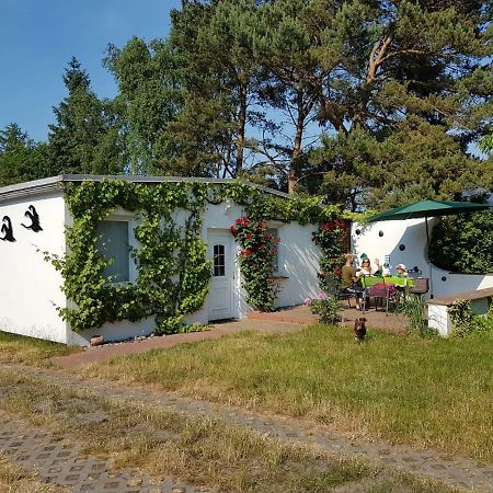Villa Ferienhaeuschen à Born Extérieur photo