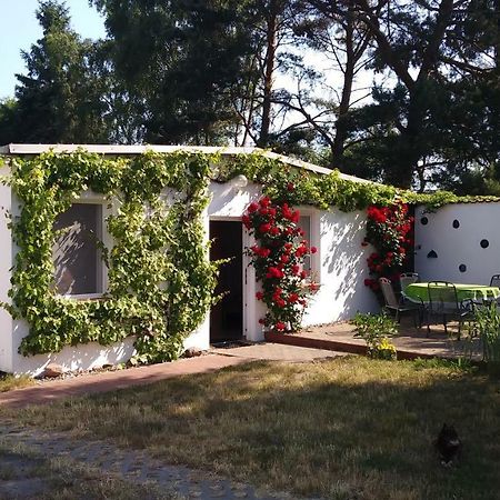 Villa Ferienhaeuschen à Born Extérieur photo