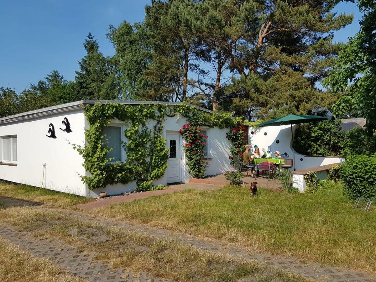 Villa Ferienhaeuschen à Born Extérieur photo