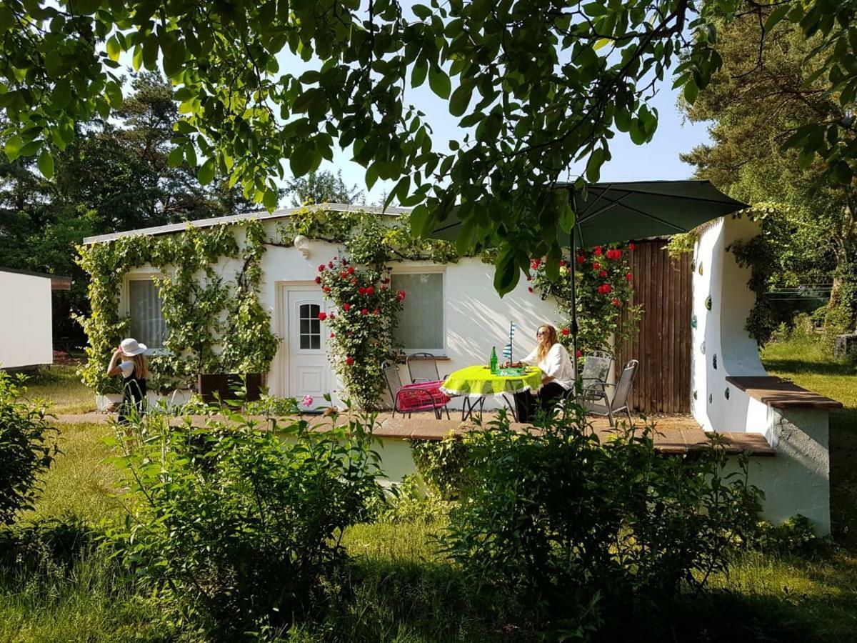 Villa Ferienhaeuschen à Born Extérieur photo