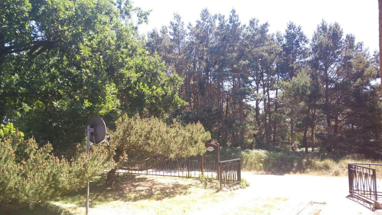 Villa Ferienhaeuschen à Born Extérieur photo