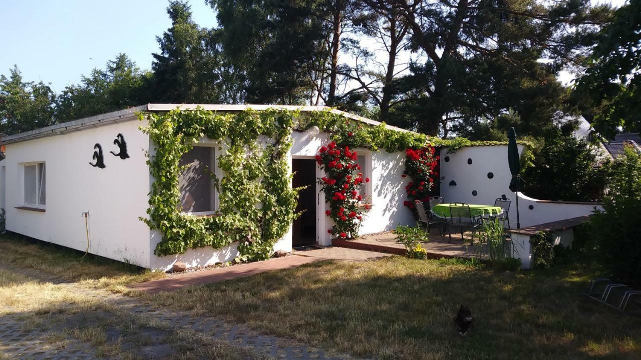 Villa Ferienhaeuschen à Born Extérieur photo