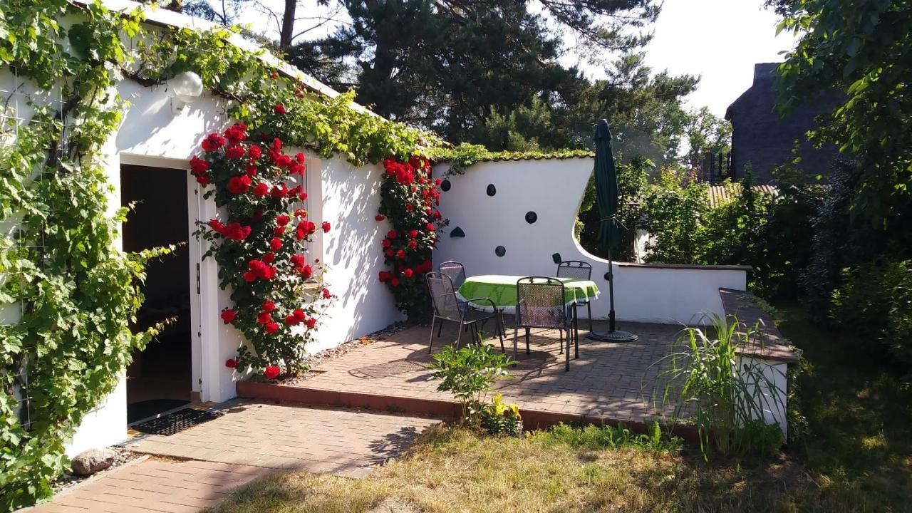Villa Ferienhaeuschen à Born Extérieur photo